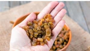 handful of raisins to eat during pregnancy
